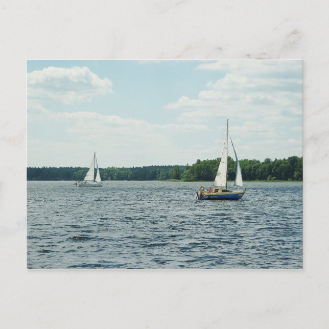 Sailboats Post Card (Front)