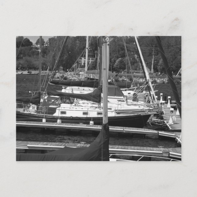 Sailboats Postcard (Front)