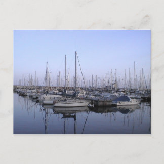 Sailboats Postcard