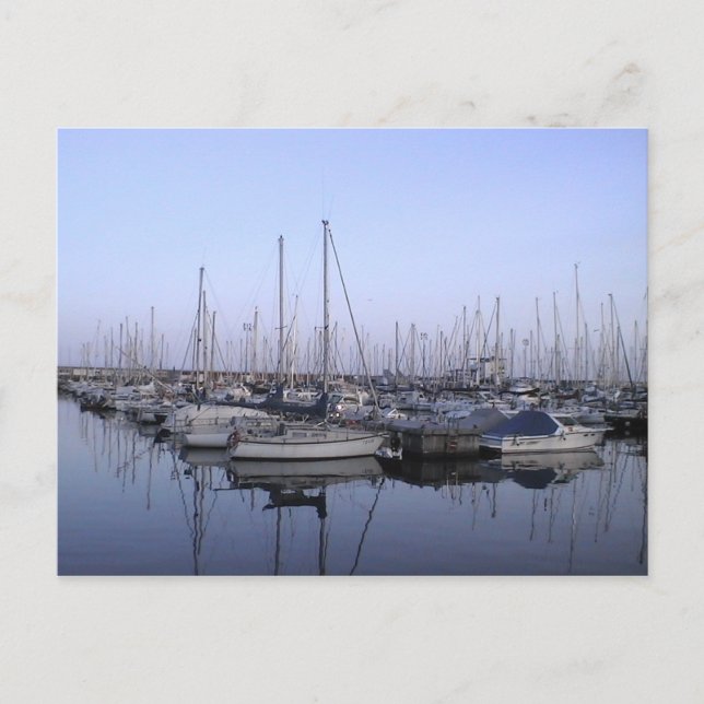 Sailboats Postcard (Front)