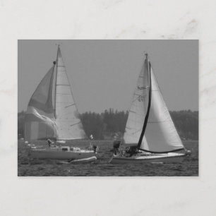 Sailboats Postcard