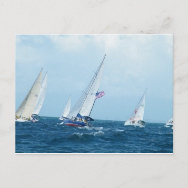 Sailboats Postcard (Front)
