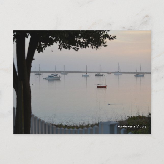 Sailboats Wake Postcard (Front)