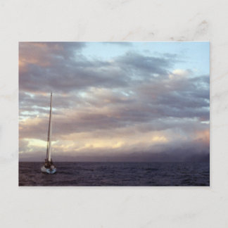 Sailing in Hawaii I Postcard