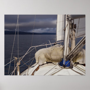 Sailing into a Storm - Fine Art Print
