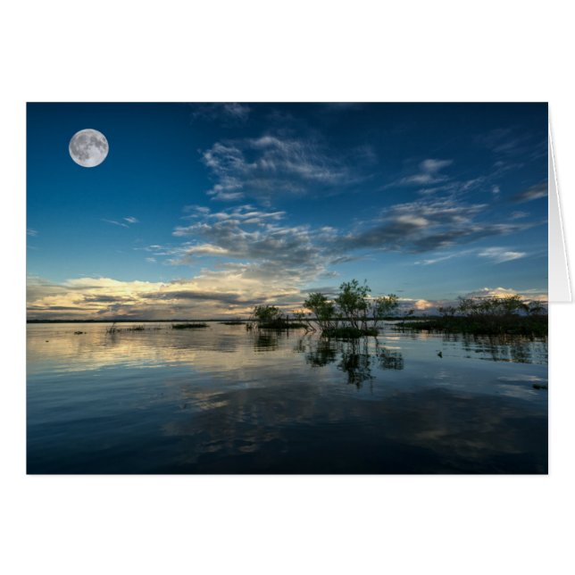 Sailing Near Iquitos (Front Horizontal)