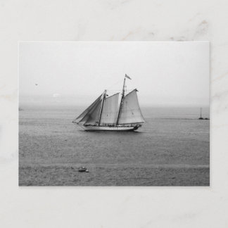 Sailing Ship Postcard