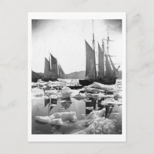 Sailing Ships in an Ice Field - 1869 Photo Postcard