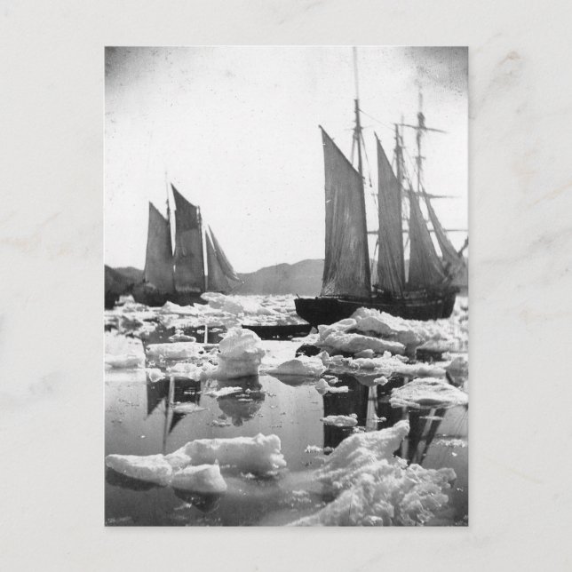 Sailing Ships in an Ice Field - 1869 Photo Postcard (Front)