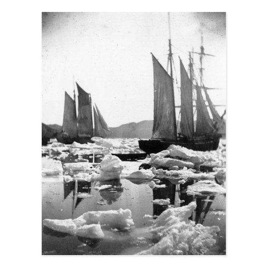 Sailing Ships in an Ice Field - 1869 Photo Postcard