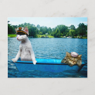 Sailor Cats Postcard