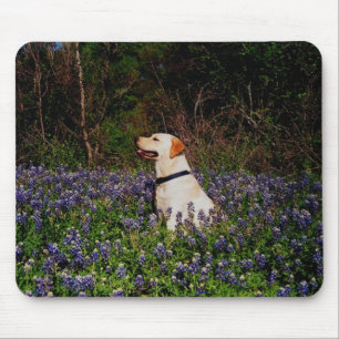 Sailor in the bluebonnets mousepad