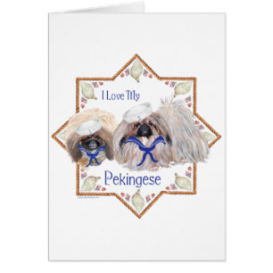 Sailor Pekingese Love
