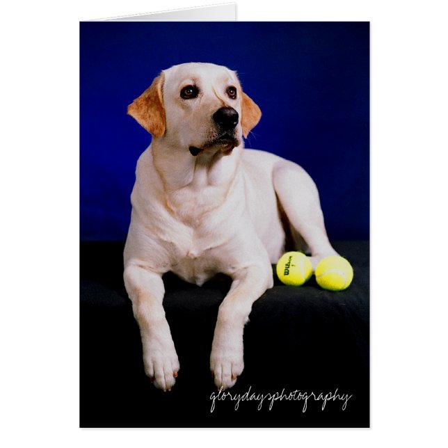 sailor studio, glorydaysphotography (Front)