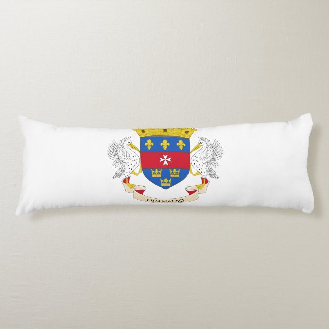 Saint Barthélemy Flag Body Pillow (Front)