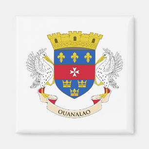 Saint Barthélemy Flag Magnet