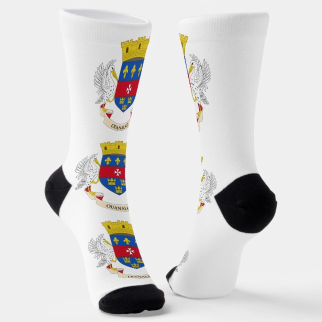 Saint Barthélemy Flag Socks (Angled)