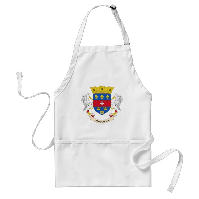 Saint Barthélemy Flag Standard Apron (Front)