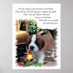 Saint Bernard Art Gifts Poster