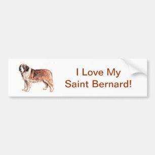 Saint Bernard Bumper Sticker