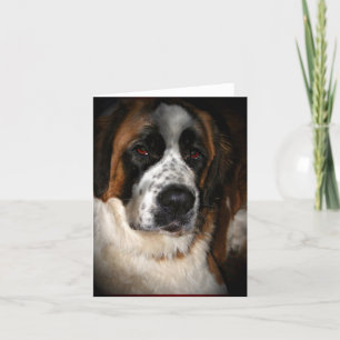 Saint Bernard Cards,customizable Thank You Card