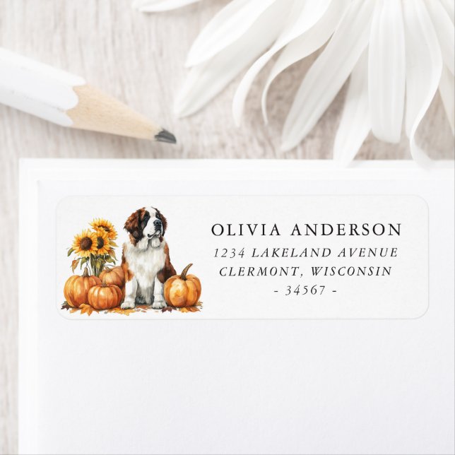 Saint Bernard Dog Autumn Return Address (Insitu)