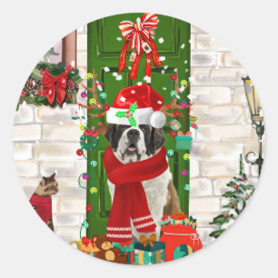 Saint Bernard Dog Christmas   Classic Round Sticker