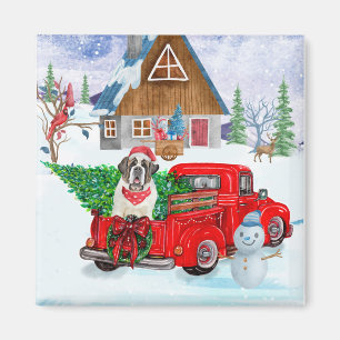 Saint Bernard Dog In Christmas Delivery Truck Snow Magnet
