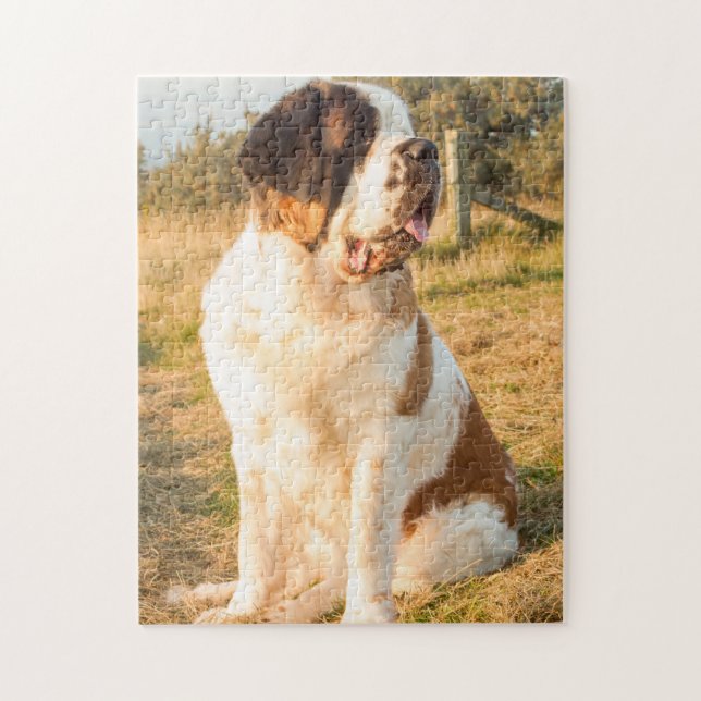 Saint Bernard dog in the sunset Jigsaw Puzzle (Vertical)