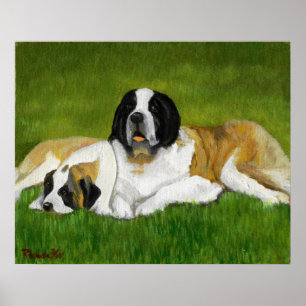 Saint Bernard Dog Portrait Poster