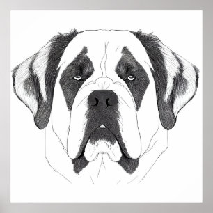 Saint Bernard Dog Wild Nature Animal Illustration  Poster