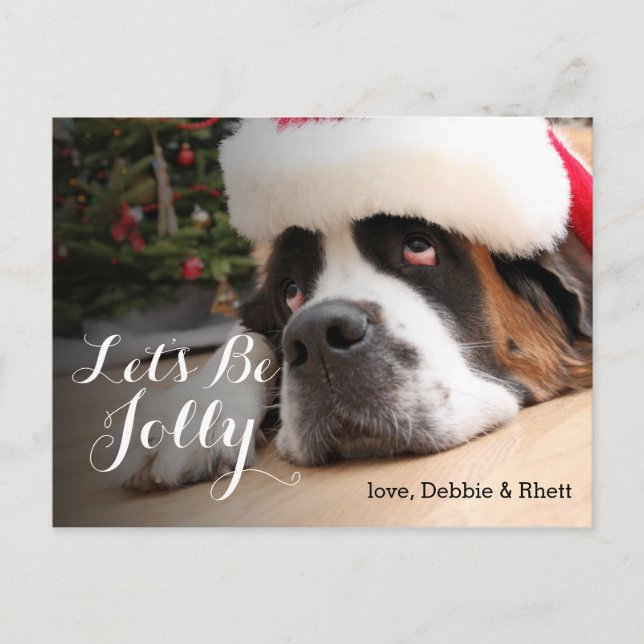 Saint Bernard dog with Santa Hat Holiday Postcard (Front)