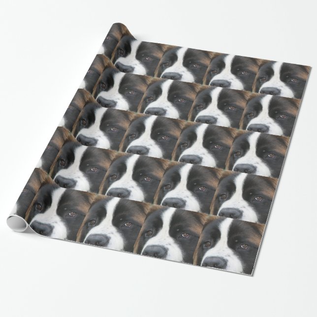 Saint Bernard Dog Wrapping Paper (Unrolled)