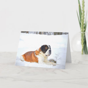 Saint Bernard Greeting Card