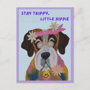 Saint Bernard Hippie Postcard