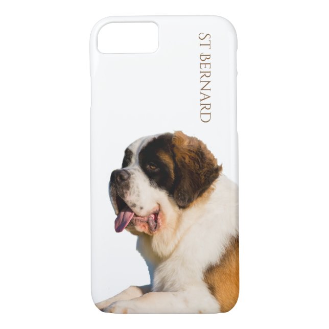 Saint Bernard iPhone Case (Back)