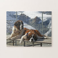 Saint Bernard