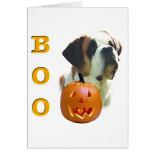 Saint Bernard (lisse) Boo