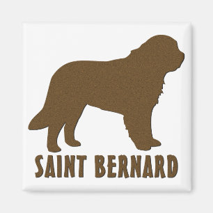Saint Bernard Magnet