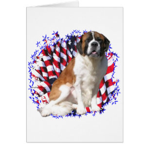 Saint Bernard Patriot