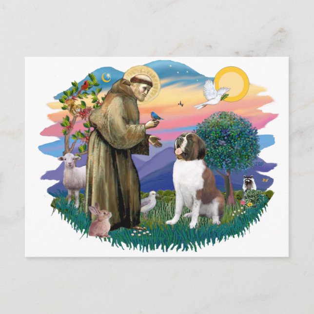Saint Bernard Postcard (Front)