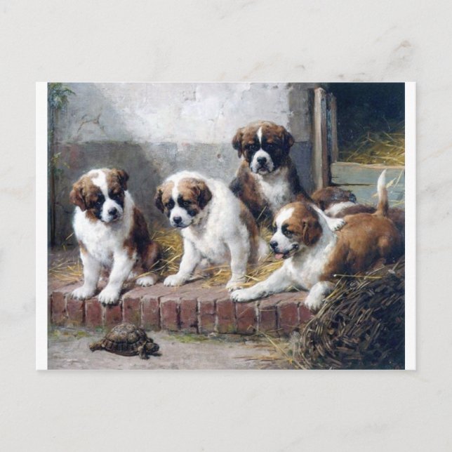Saint Bernard puppies turtle cute painting dogs Postcard (Front)
