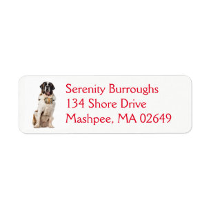 Saint Bernard Puppy Dog Funny St Bernard