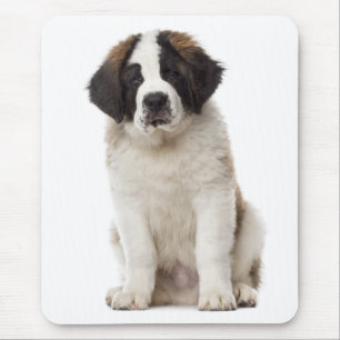 Saint Bernard Puppy Dog Love St. Bernard Mouse Pad