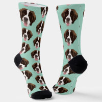 Saint Bernard