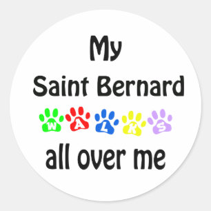 Saint Bernard Walks Design Classic Round Sticker