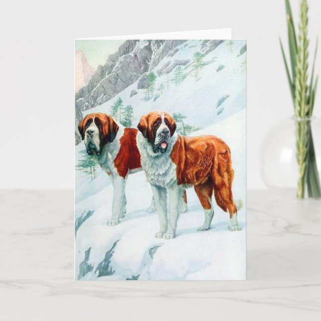 Saint Bernards on a snowy mountain illustration Card (Front)