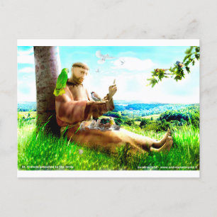 Saint Francis and the sermon-preaches to the birds Postcard