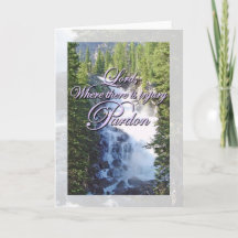 Saint Francis Prayer Pardon