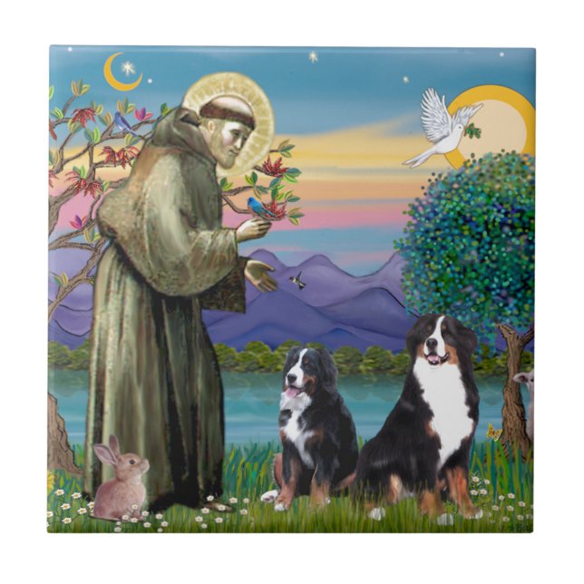 Saint Francis - Two Bernese Mountain Dogs Tile (Front)